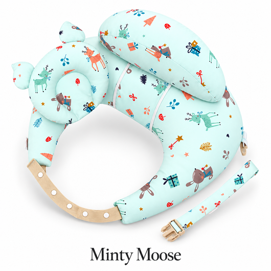 Baby Nursing Pillow